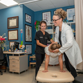 Dr. Cristin  Fitzpatrick 